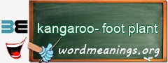 WordMeaning blackboard for kangaroo-foot plant